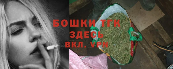 гидра Богородицк