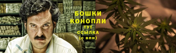 гидра Богородицк