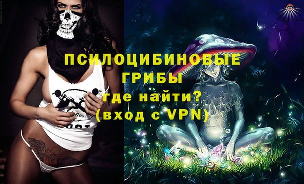 гидра Богородицк
