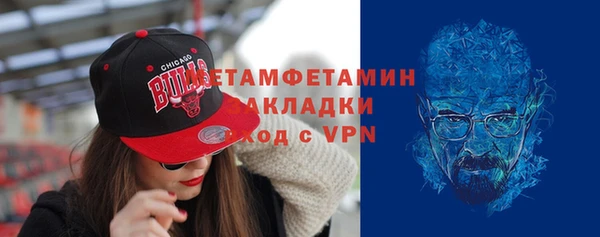 гидра Богородицк