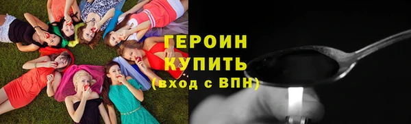 гидра Богородицк