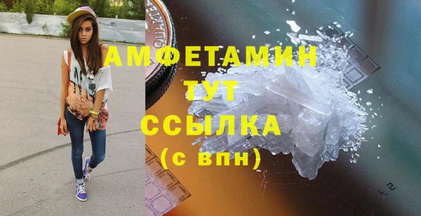 гидра Богородицк