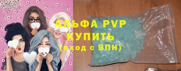 гидра Богородицк