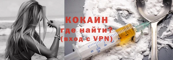 гидра Богородицк
