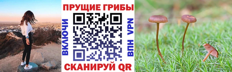 Галлюциногенные грибы Magic Shrooms  Десногорск 